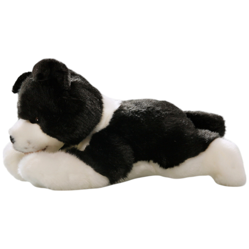 Preview: Border Collie Floppy