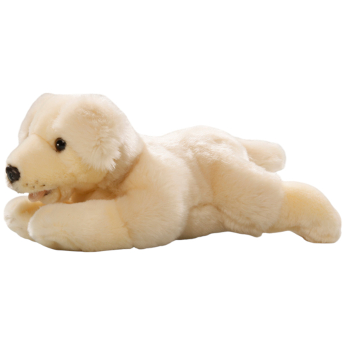 Preview: Golden Retriever Floppy