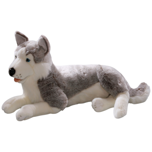 Preview: Husky lying