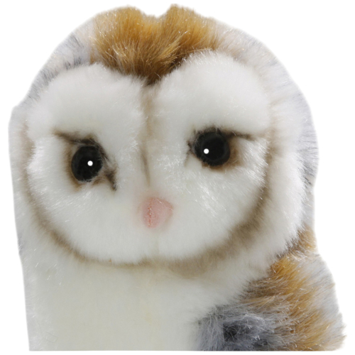 Preview: Eule, Schleiereule