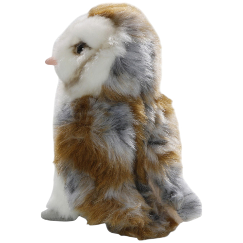 Preview: Eule, Schleiereule