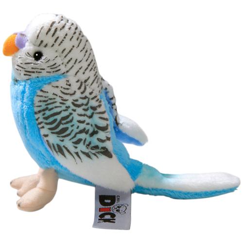 Preview: Wellensittich blau-weiss