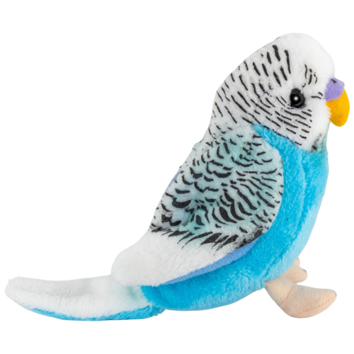 Preview: Wellensittich blau-weiss