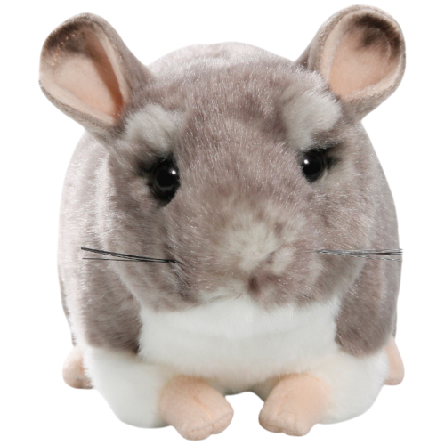 Preview: Chinchilla