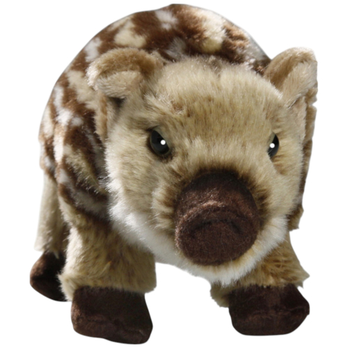 Preview: Wildschwein, Frischling stehend