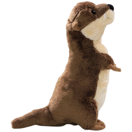 Preview: Otter