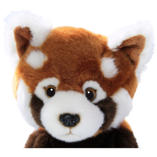 Preview: Red Panda sitting