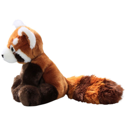 Preview: Red Panda sitting