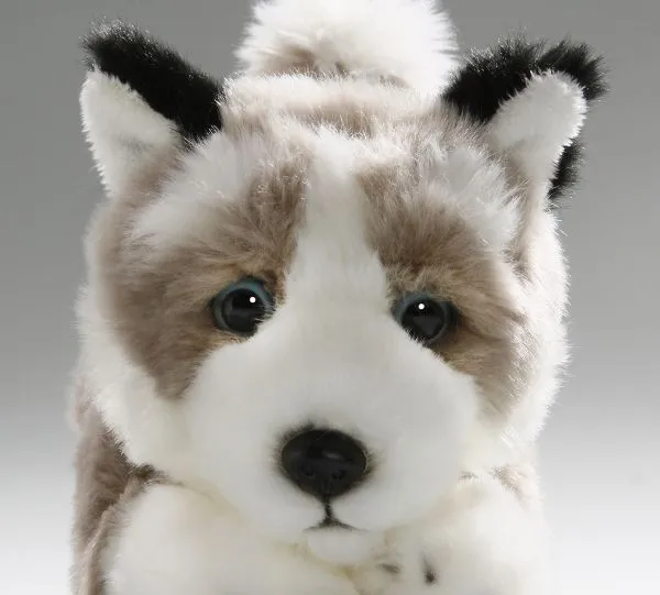 Carl Dick Plush Toy Husky Dog Floppy