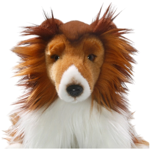 Collie
