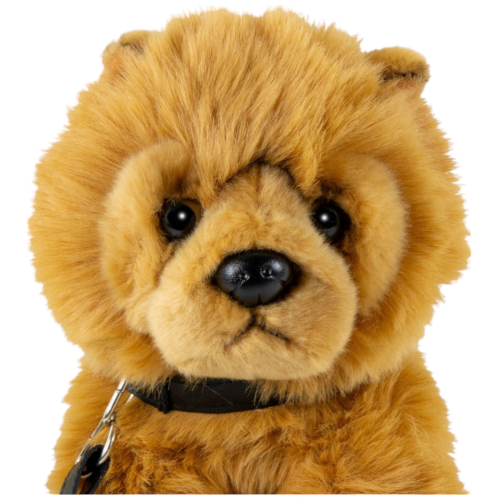 Preview: Chow-Chow Hund sitzend mit Leine