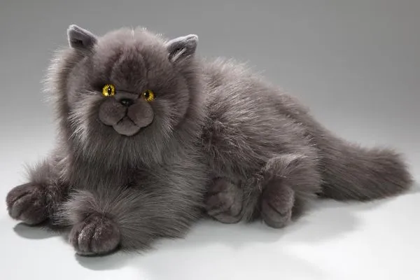 Persian Cat lying grey Carl Dick GmbH