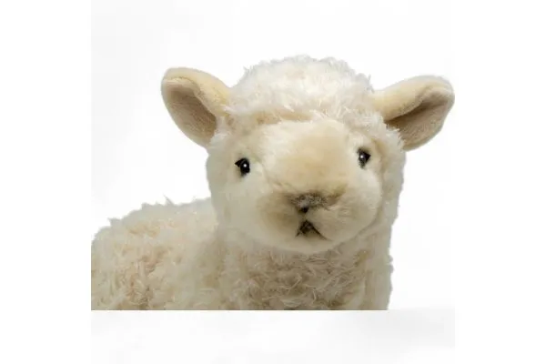 Carl Dick Plush Toy Sheep, Lamb