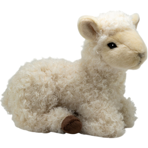 Preview: Sheep, Lamb