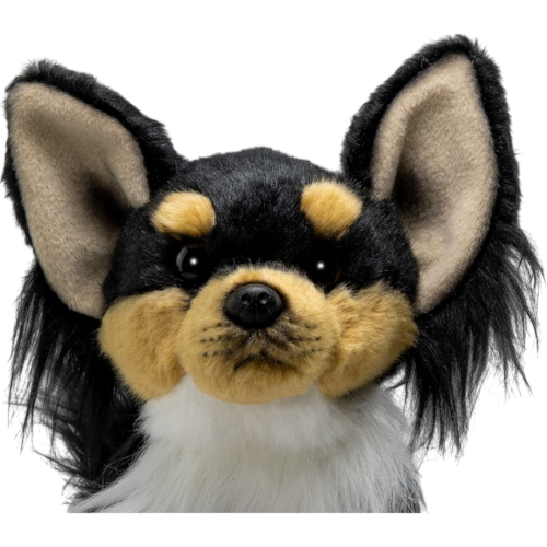 Preview: Chihuahua sitzend schwarz-braun