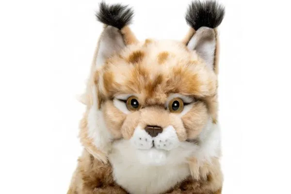 Carl Dick Plush Toy Lynx