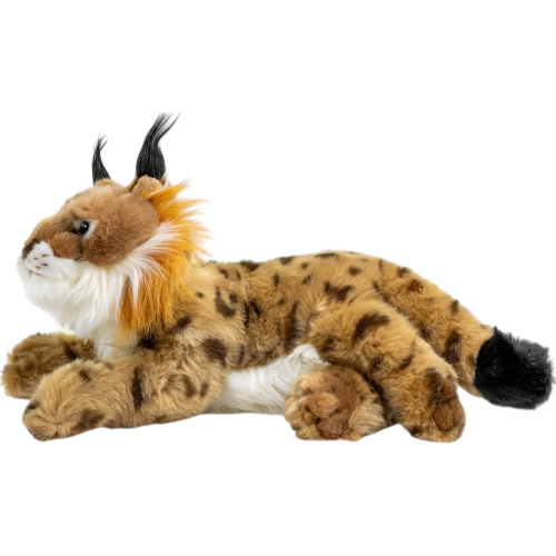 Preview: Luchs liegend