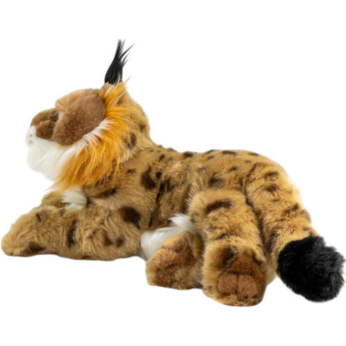 Preview: Luchs liegend