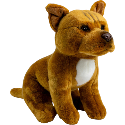 Preview: Stafford Bull Terrier brown