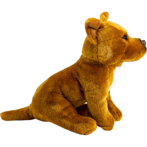 Preview: Stafford Bull Terrier brown