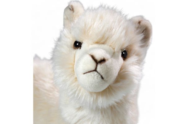 Carl Dick Plush Toy Alpaca beige