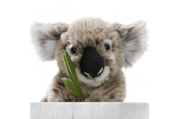 Carl Dick Plüschtier Koala