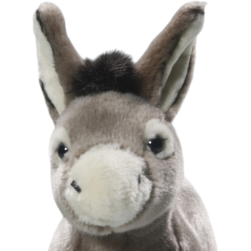 Preview: Esel grau stehend