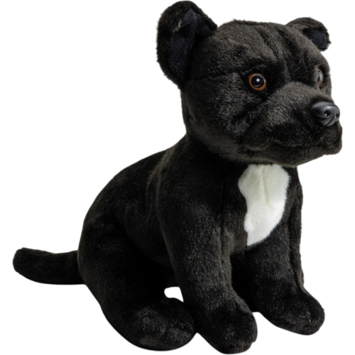 Preview: Stafford Bull Terrier black