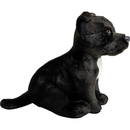 Preview: Stafford Bull Terrier black