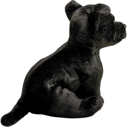 Preview: Stafford Bull Terrier black