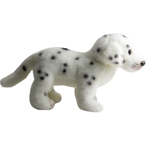 Preview: Dalmatiner stehend