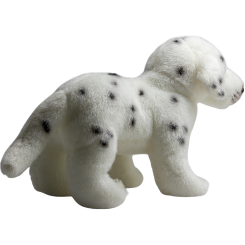 Preview: Dalmatiner stehend