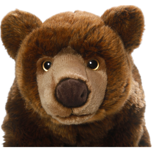 Preview: Braunbär, Grizzly-Bär