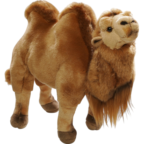 Preview: Kamel, Trampeltier stehend