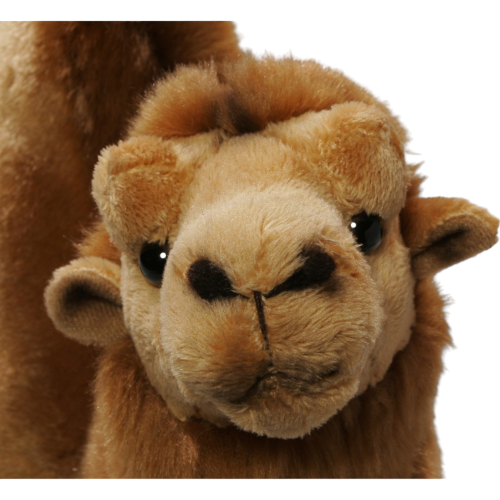 Preview: Kamel, Trampeltier stehend