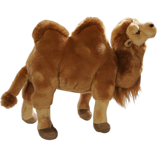 Preview: Kamel, Trampeltier stehend