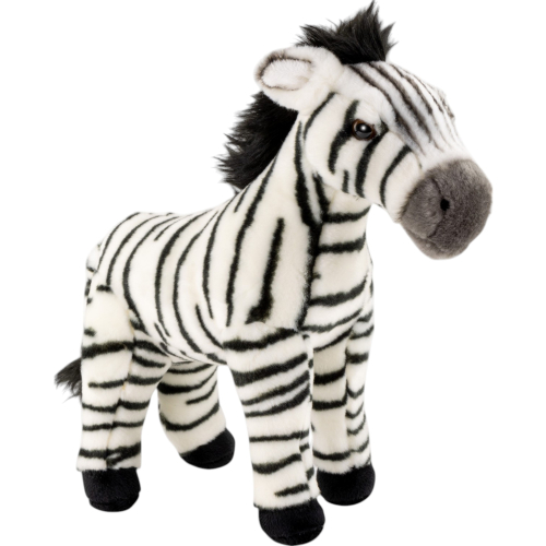 Preview: Zebra stehend