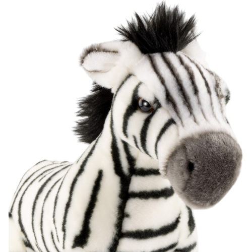 Preview: Zebra stehend