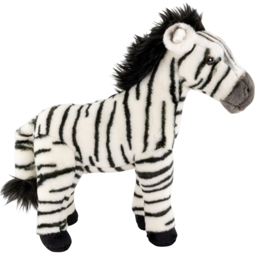Preview: Zebra stehend