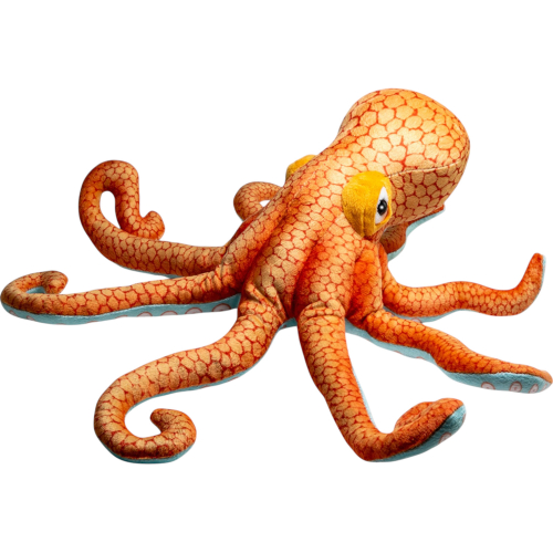 Preview: Krake, Oktopus