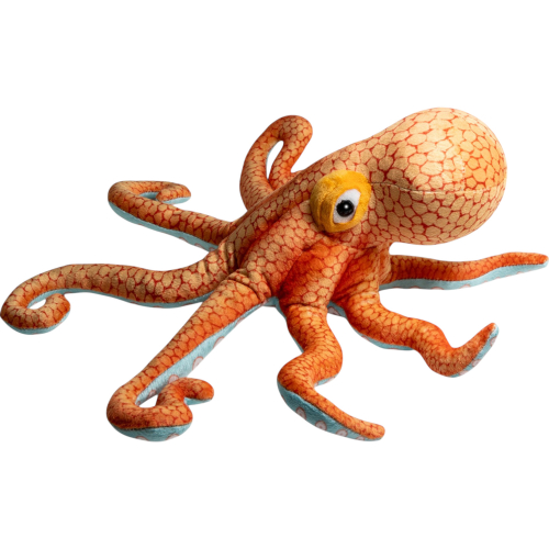 Preview: Krake, Oktopus