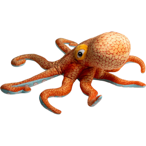 Preview: Krake, Oktopus