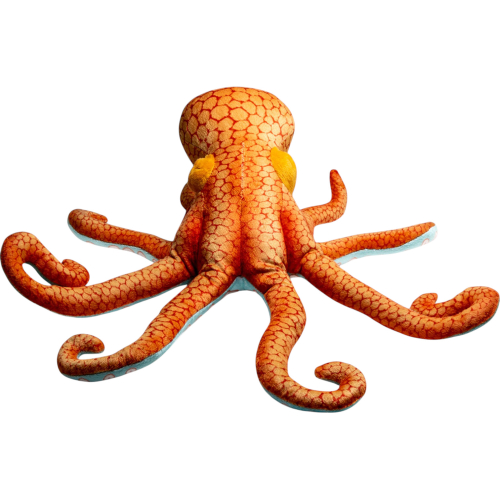 Preview: Krake, Oktopus