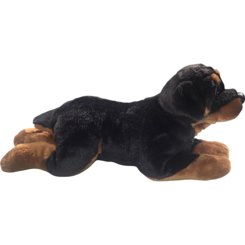 Preview: Rottweiler Hund liegend
