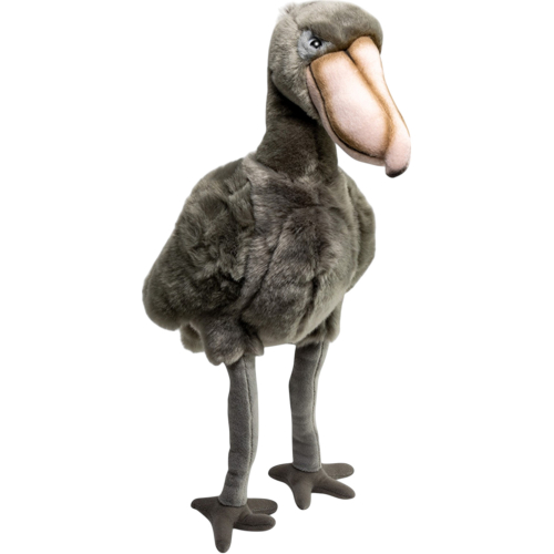 Preview: Shoebill Bird