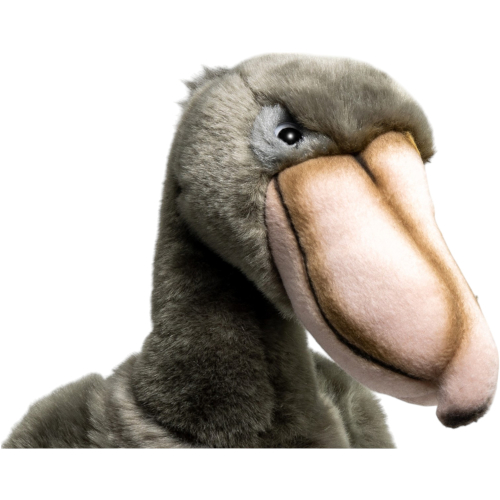 Preview: Shoebill Bird
