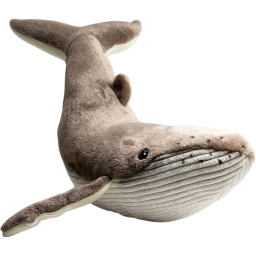 Preview: Humpback Whale