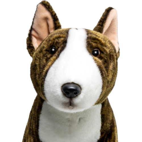 Preview: Pitbull sitzend braun