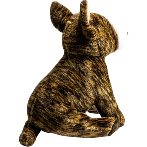 Preview: Pitbull sitzend braun