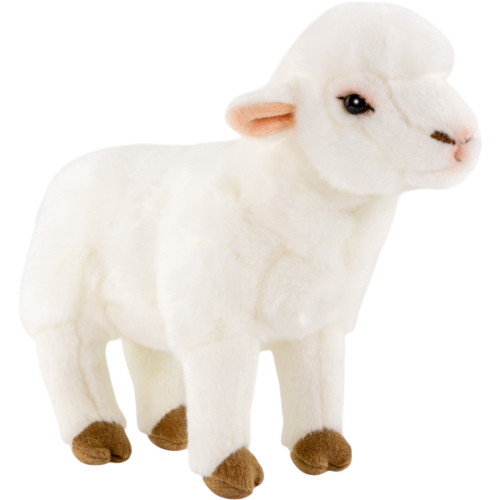 Preview: Schaf, Lamm stehend